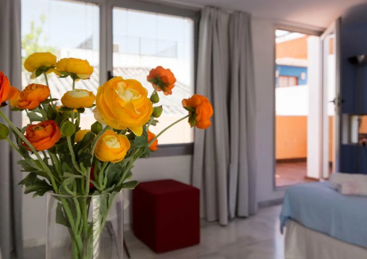 Duplex Con Terraza Privada En Centro Historico Apartment Seville