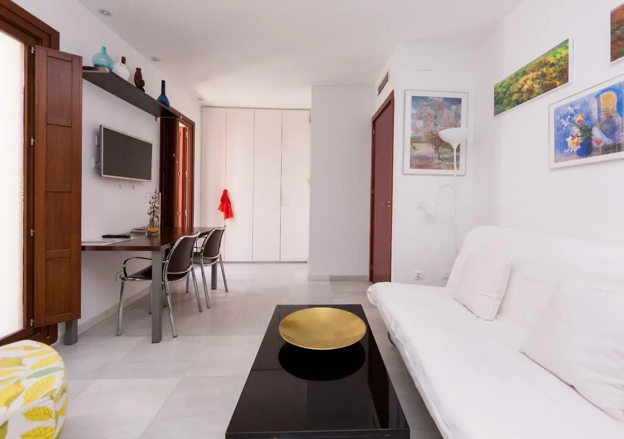 Duplex Con Terraza Privada En Centro Historico Apartment Seville