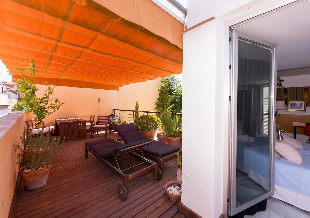 Duplex Con Terraza Privada En Centro Historico Apartment Seville Spain