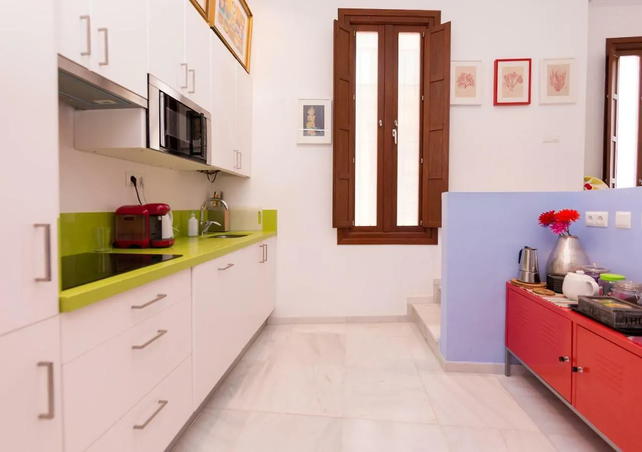 Duplex Con Terraza Privada En Centro Historico Apartment Seville 0*,  Spain